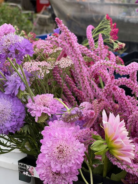 Heritage Farm Florals ~ Flower Farming Fun photo 5
