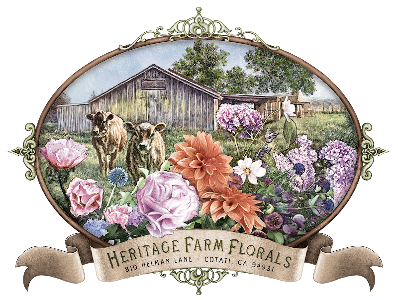 Heritage Farm Florals ~ Flower Farming Fun photo 2