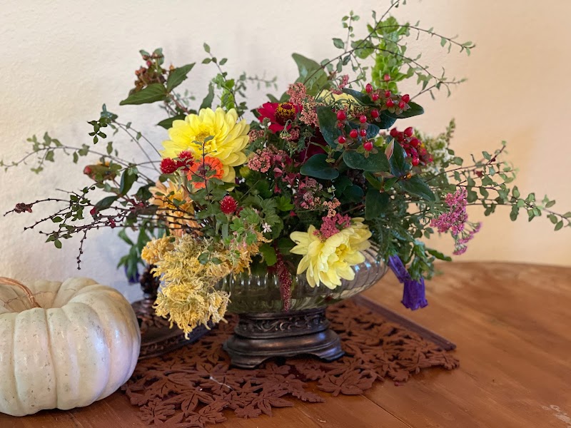 Photo of Heritage Farm Florals ~ Flower Farming Fun