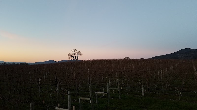 Photo of Meteor Vineyard