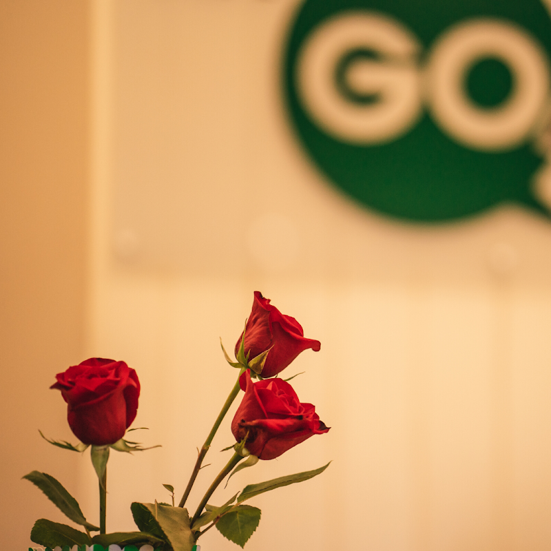 The Go! Agency photo 4