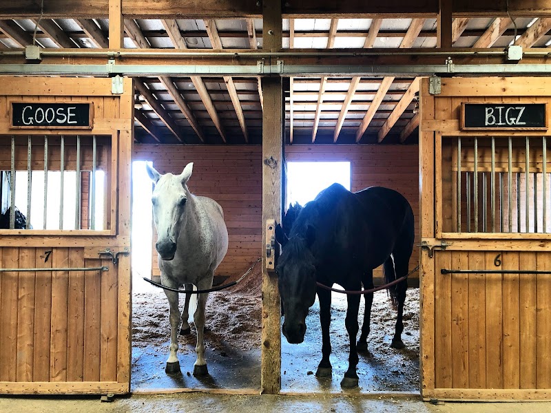 Skalkaho Stables photo 4