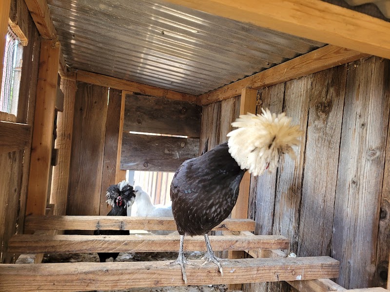 Wise Acre Farms photo 3