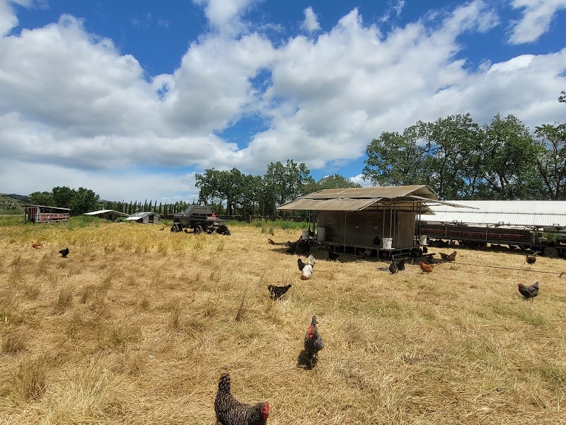 Wise Acre Farms photo 2