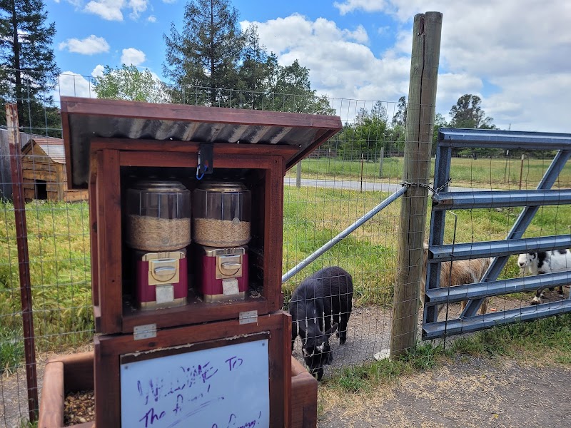 Wise Acre Farms photo 4