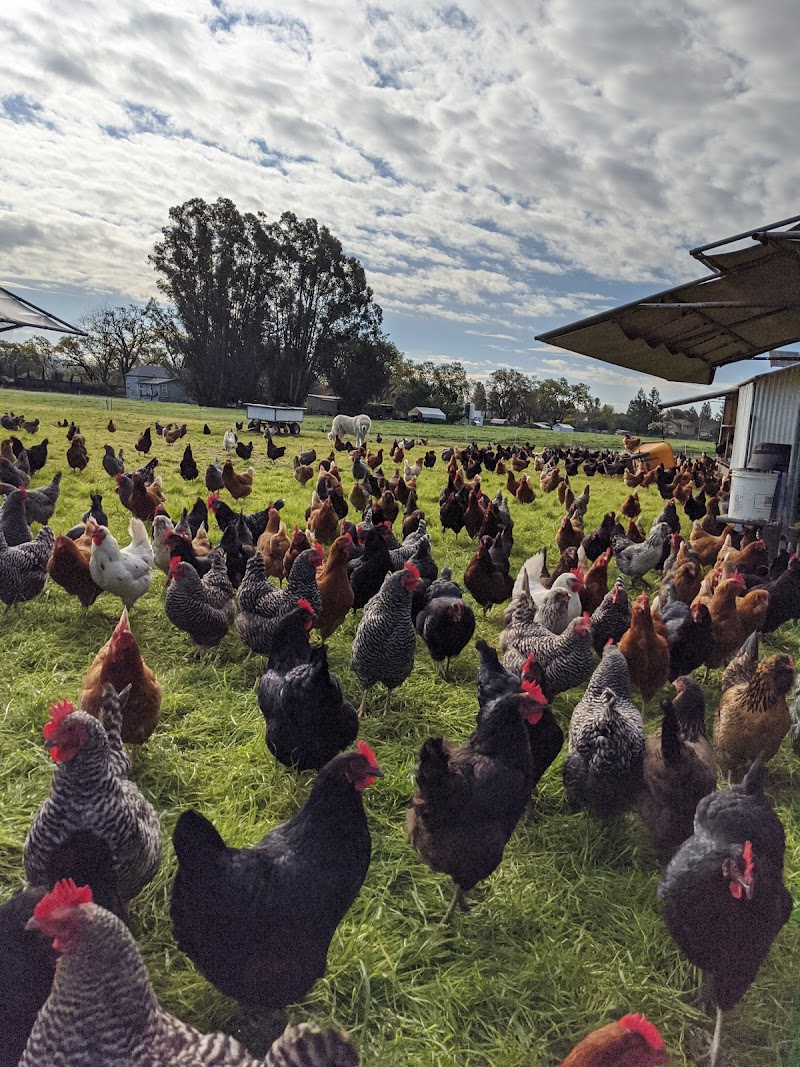 Photo of Wise Acre Farms