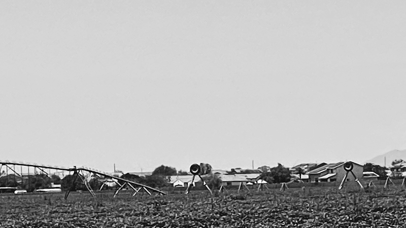 Photo of Mad Steger LLC