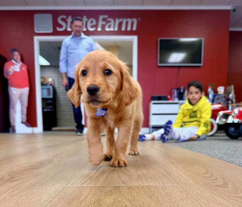 Photo of Aaron Sessions - State Farm Insurance Agent