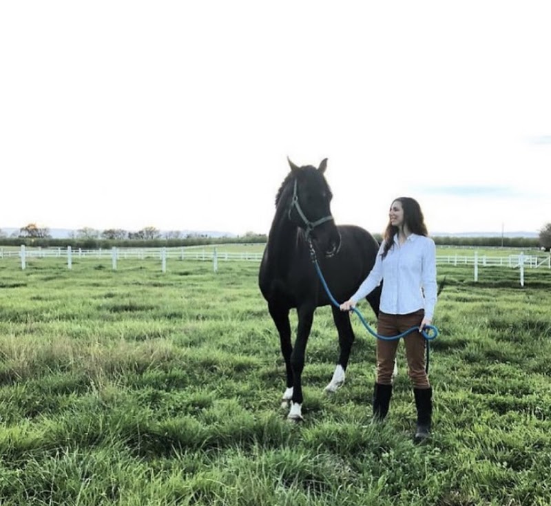 FLYING HORSE FARMS photo 2