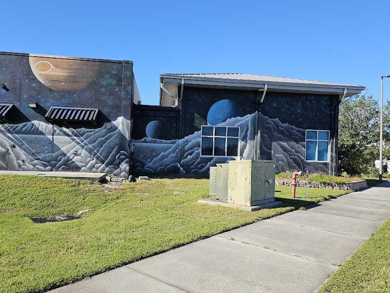 Astronaut Mural photo 3