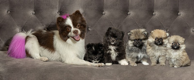 Oakley Veterinary Medical Center photo 2