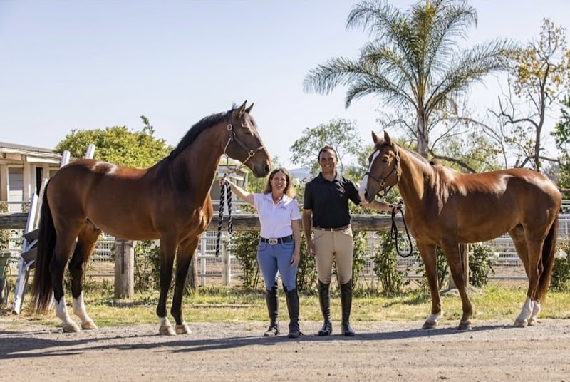 golden gate equestrian photo 3