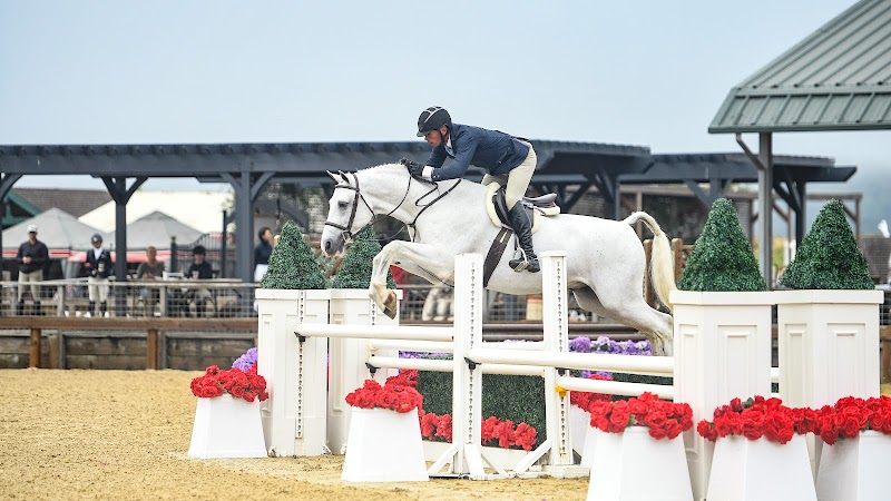 Photo of golden gate equestrian
