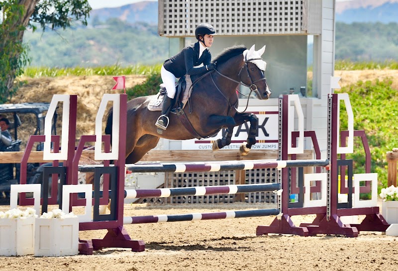golden gate equestrian photo 2