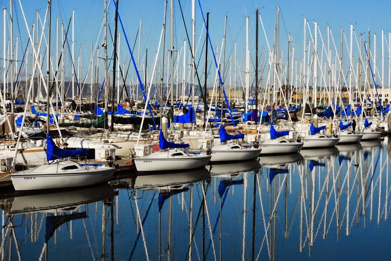 Photo of Tradewinds Sailing School & Club