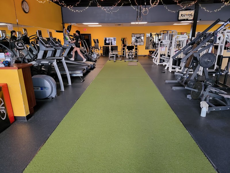 Contour Fitness photo 2