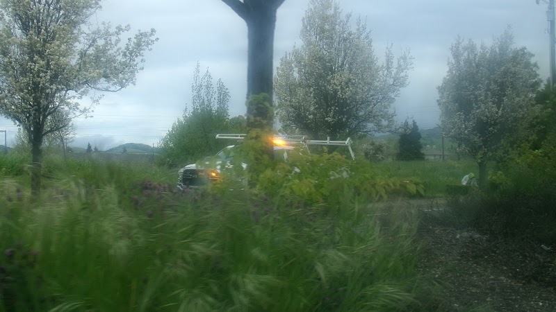 Public Works Department photo 2