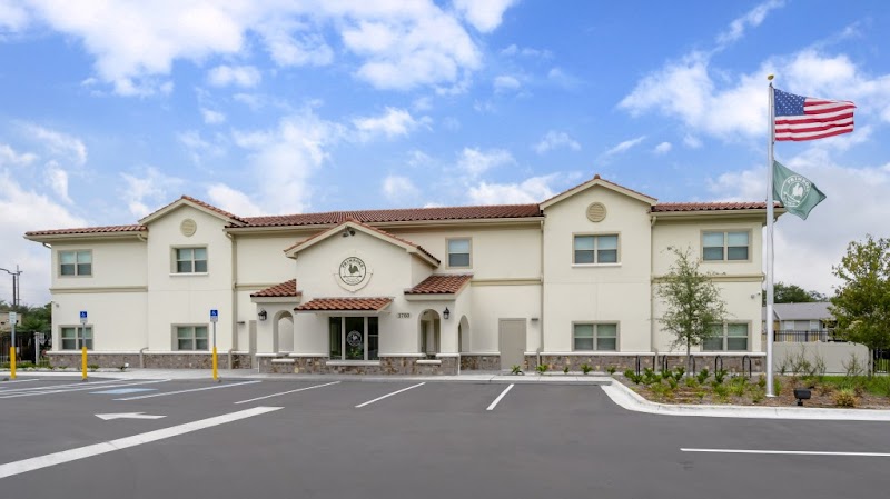 Photo of Primrose School of Oldsmar