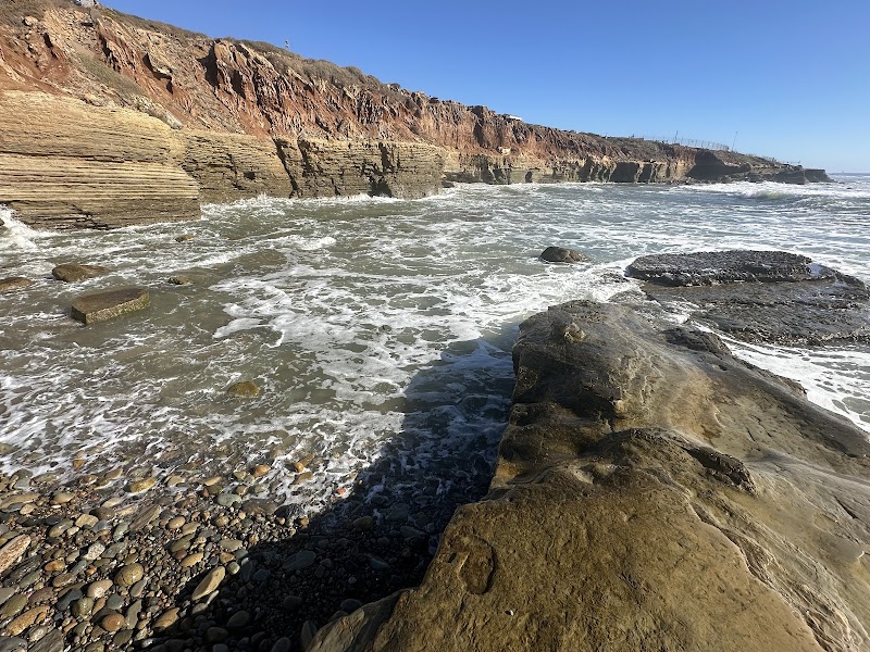 Point Loma Tide Pools photo 2