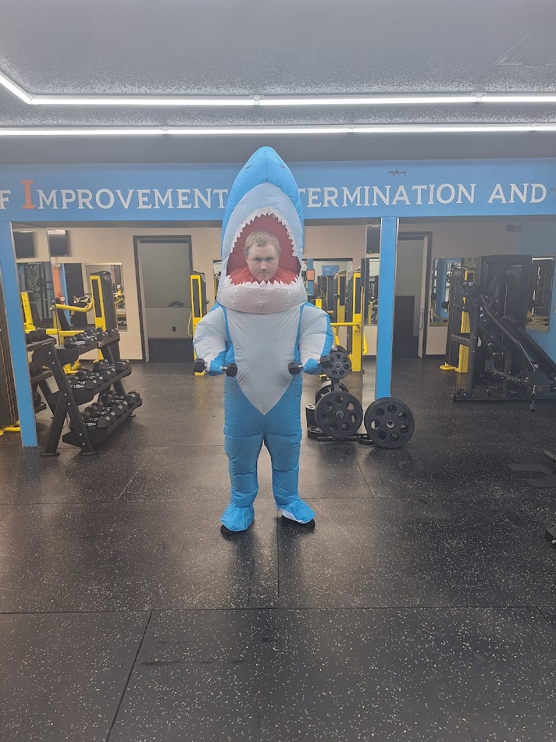 The Serious Gym photo 3