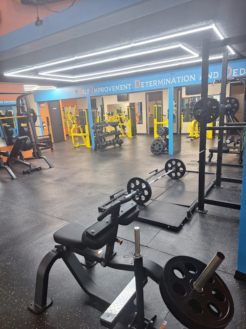 Photo of The Serious Gym
