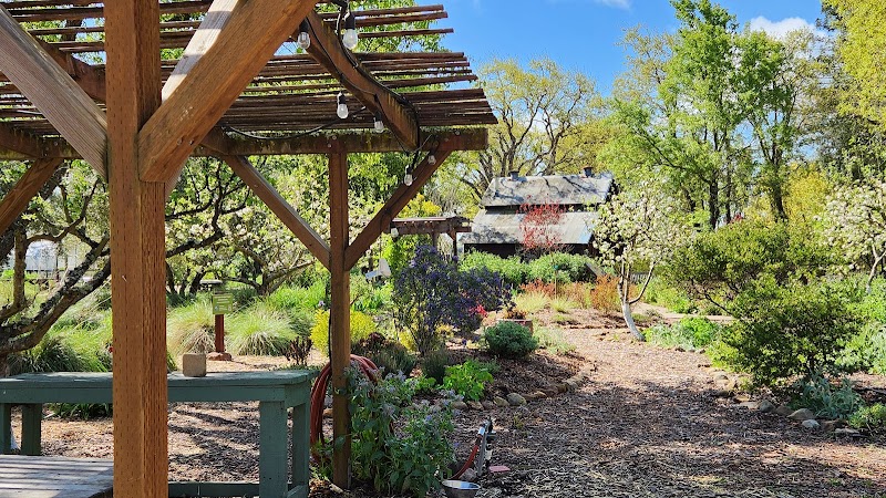 Sonoma Garden Park photo 5