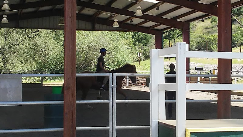 Xenophon Therapeutic Riding photo 2
