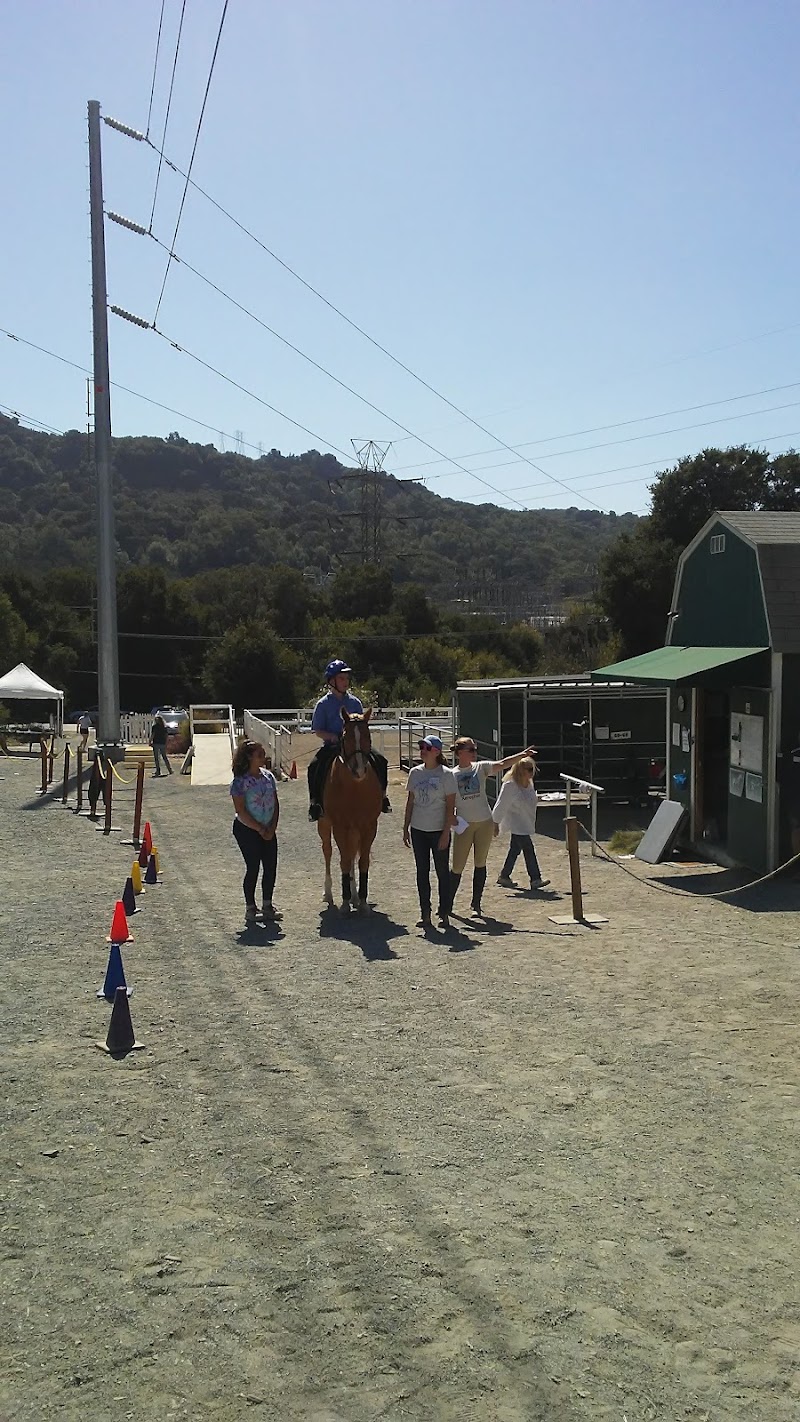 Xenophon Therapeutic Riding photo 3