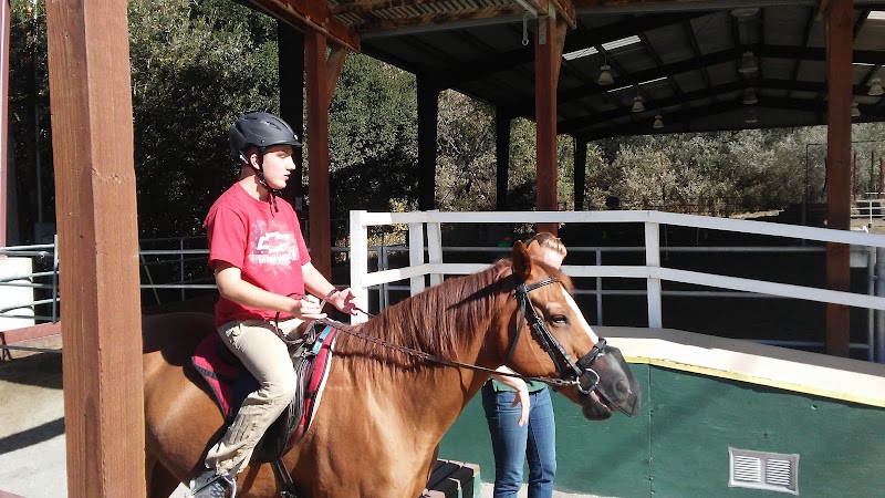 Xenophon Therapeutic Riding photo 4