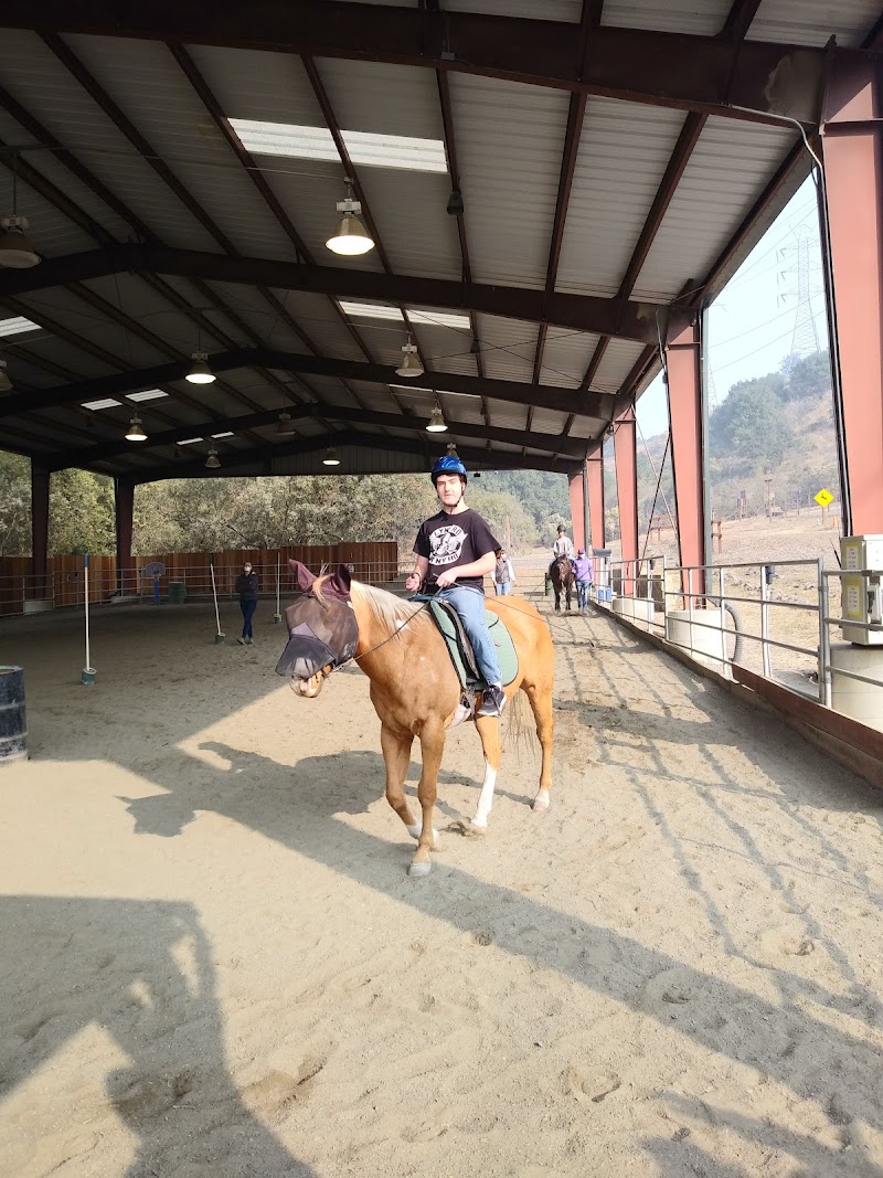 Xenophon Therapeutic Riding photo 5