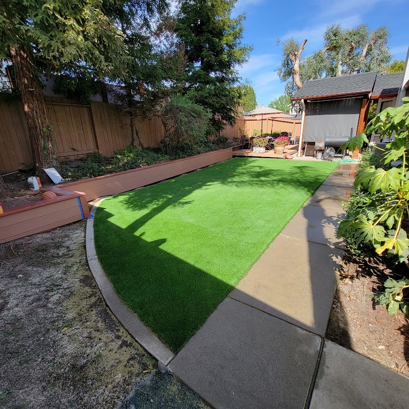 Many Paws Home Pet Care photo 5