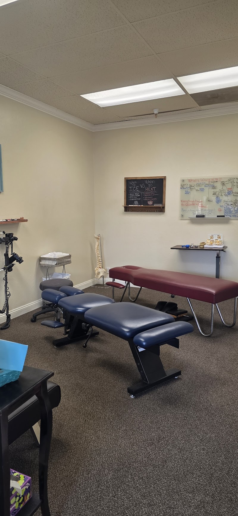 Photo of Aligned Health Chiropractic