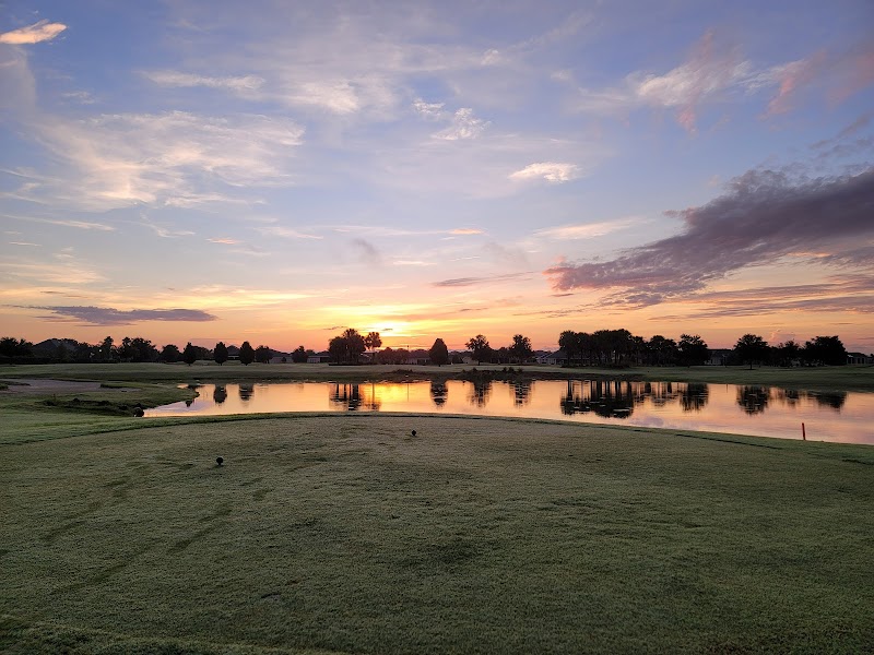 Palmetto Executive Golf Course photo 3