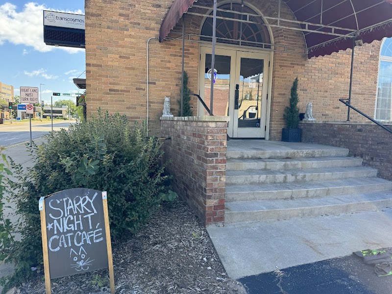 Starry Night Cat Café photo 5