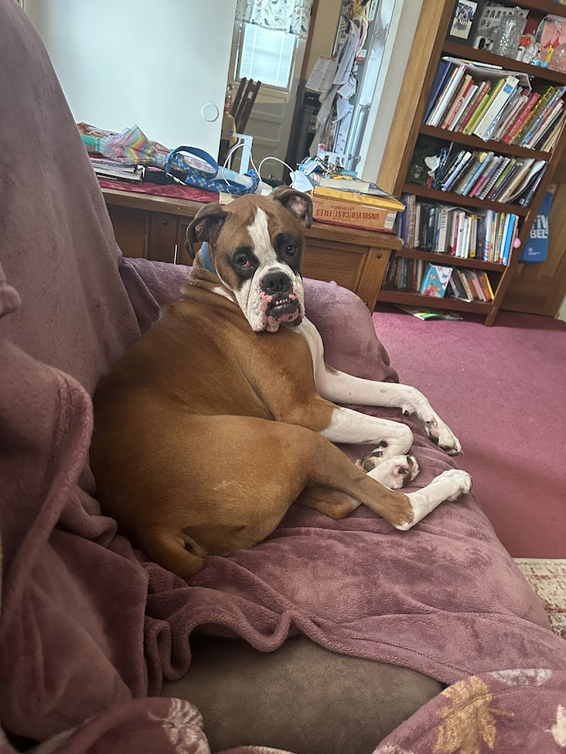 Photo of Pets At Ease Pet Sitting & Boarding