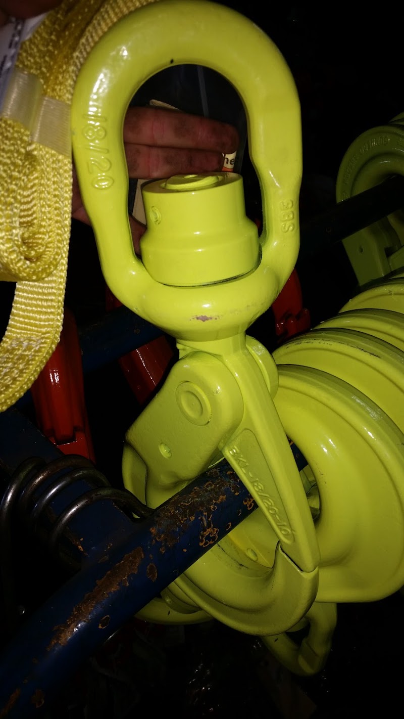 CERTEX USA - Clearwater photo 3