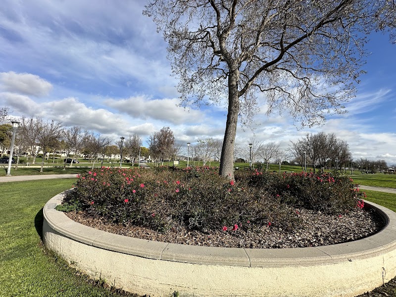 Small Playground photo 3
