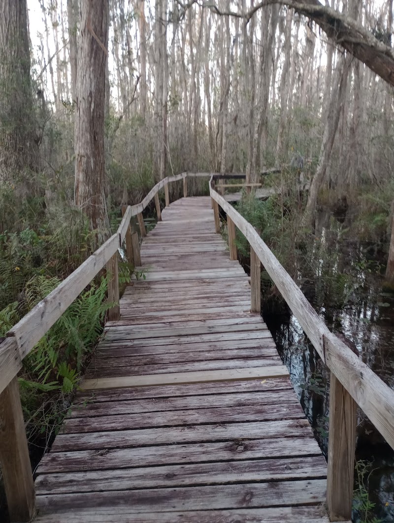 Lake Louisa Chateau photo 3