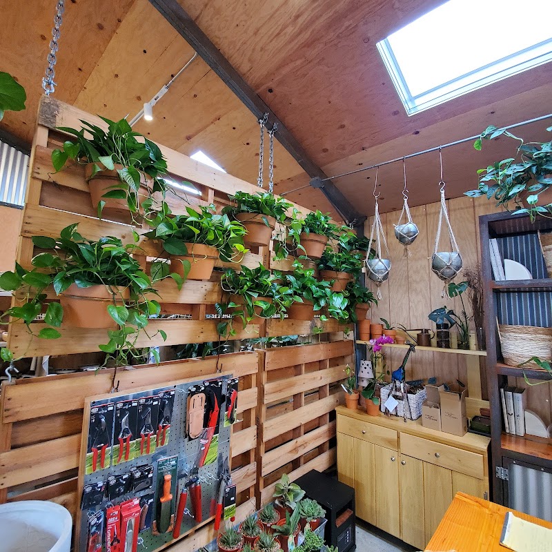 Cloverdale Home & Garden photo 3