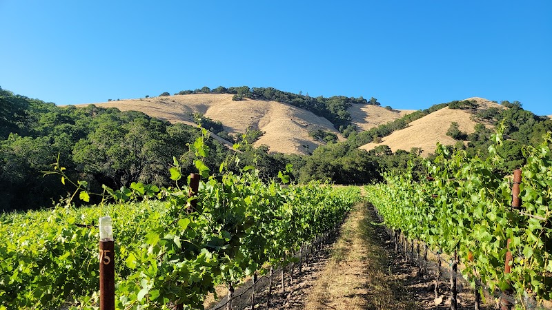 Photo of Zeka Vineyards