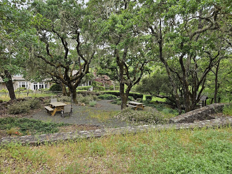 Zeka Vineyards photo 3