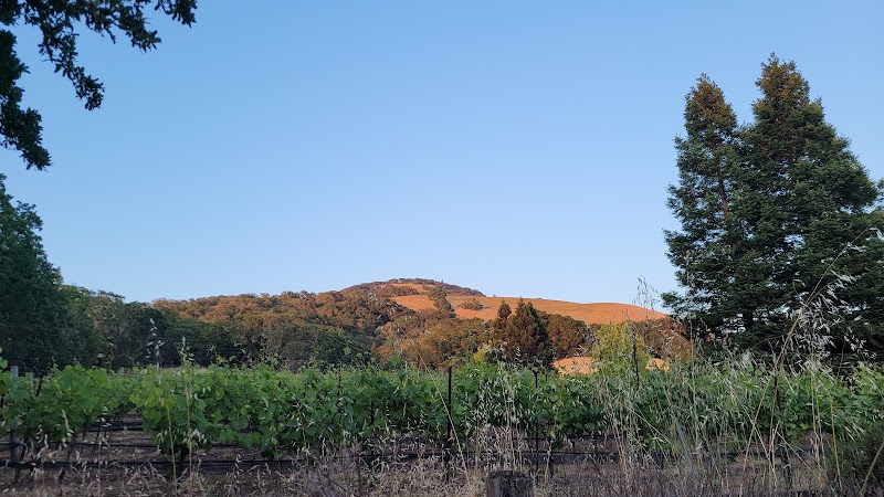 Zeka Vineyards photo 5
