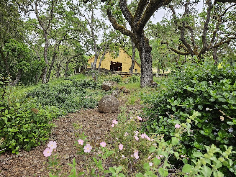Zeka Vineyards photo 2