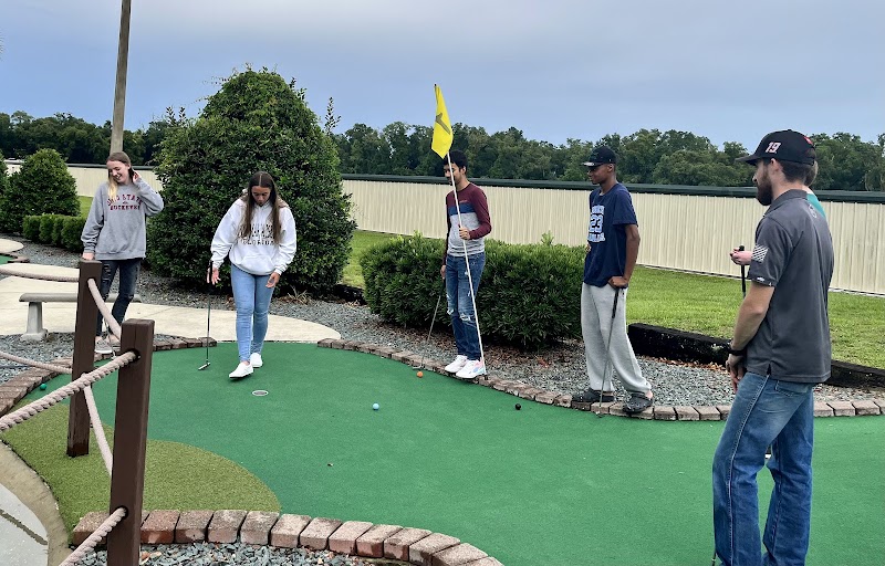 Tree Tops Golf photo 3