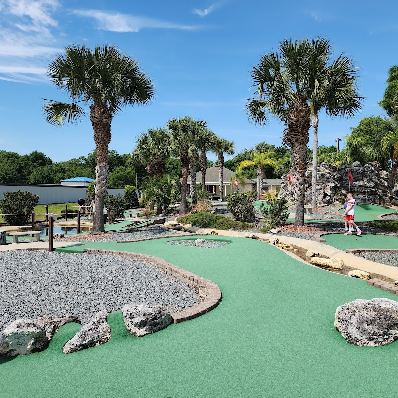 Tree Tops Golf photo 2