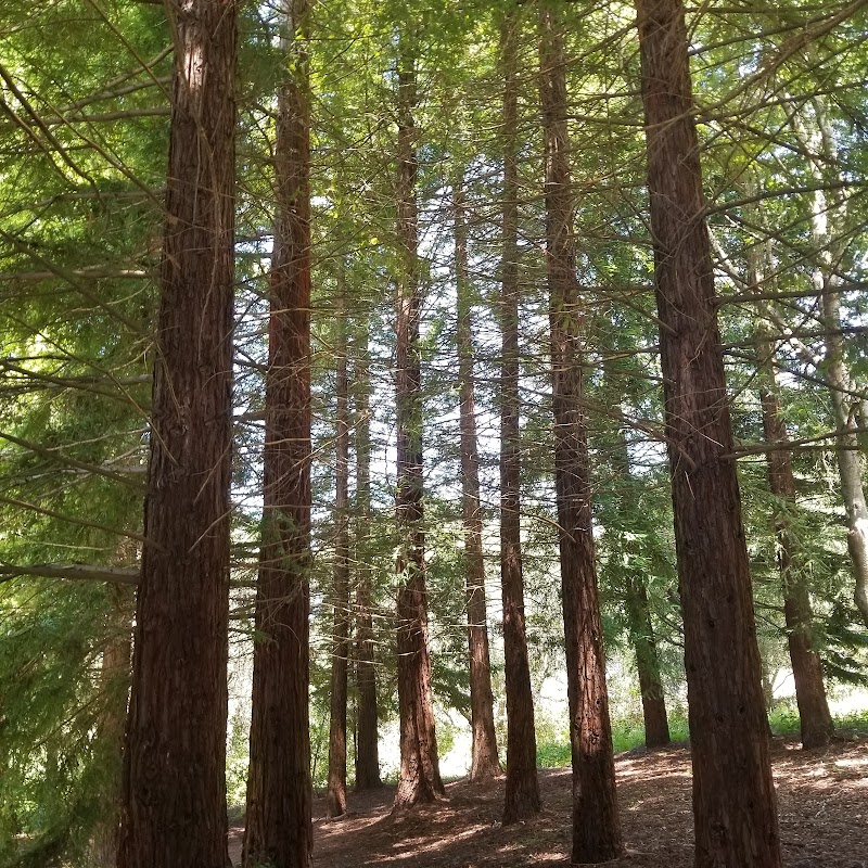Ragle Ranch Park photo 2
