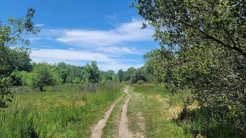 Ragle Ranch Park photo 3
