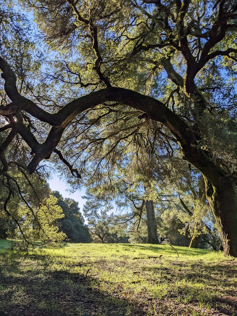 Ragle Ranch Park photo 4