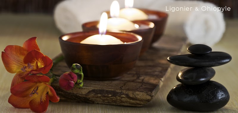Photo of A Simple Touch Spa