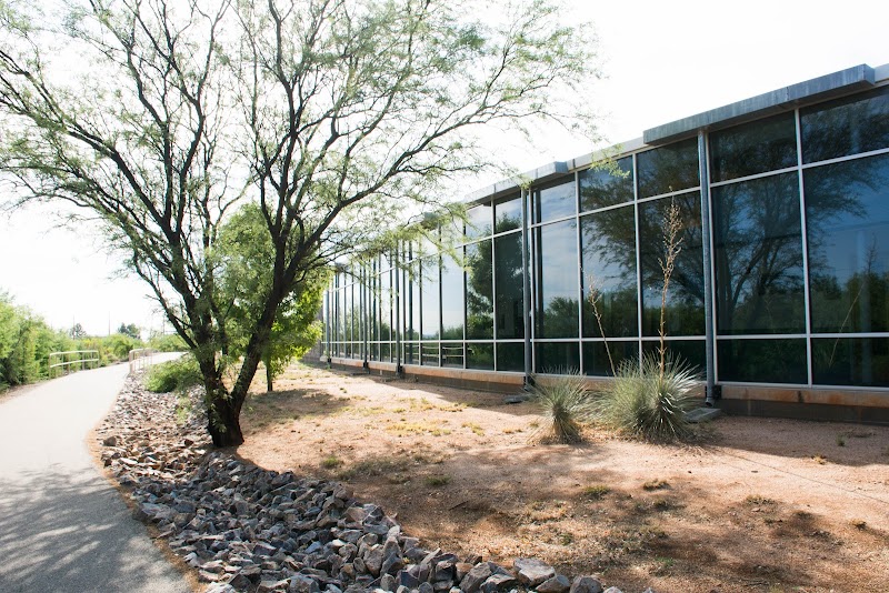 The University of Arizona photo 5
